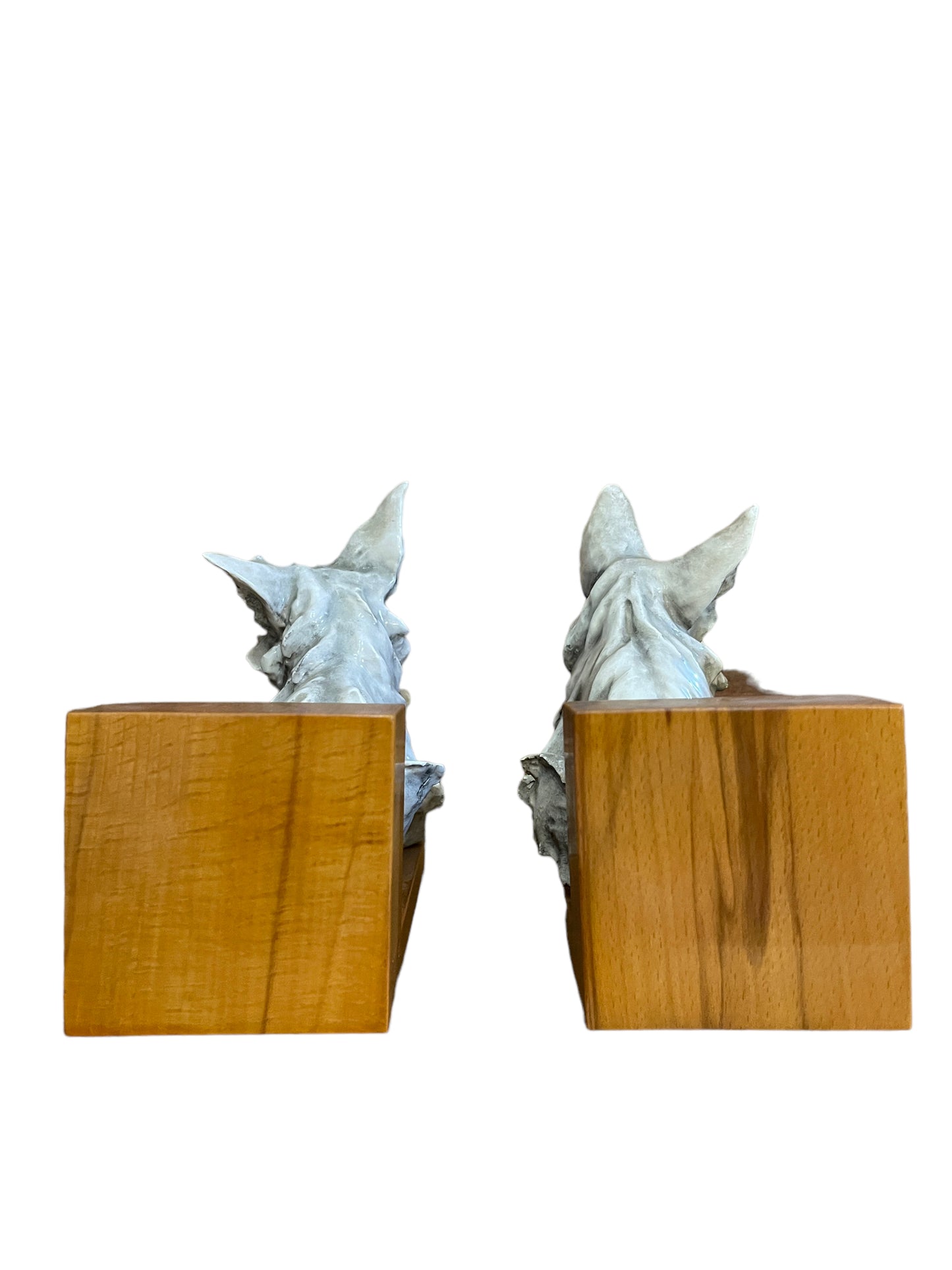 Coppia di cani ferma libri in ceramica, Cacciapuoti, XX secolo