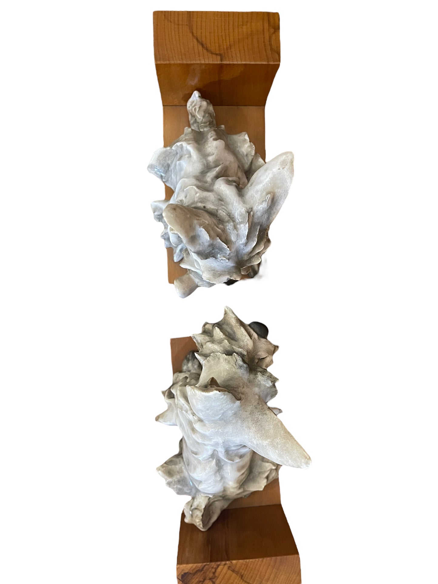 Coppia di cani ferma libri in ceramica, Cacciapuoti, XX secolo