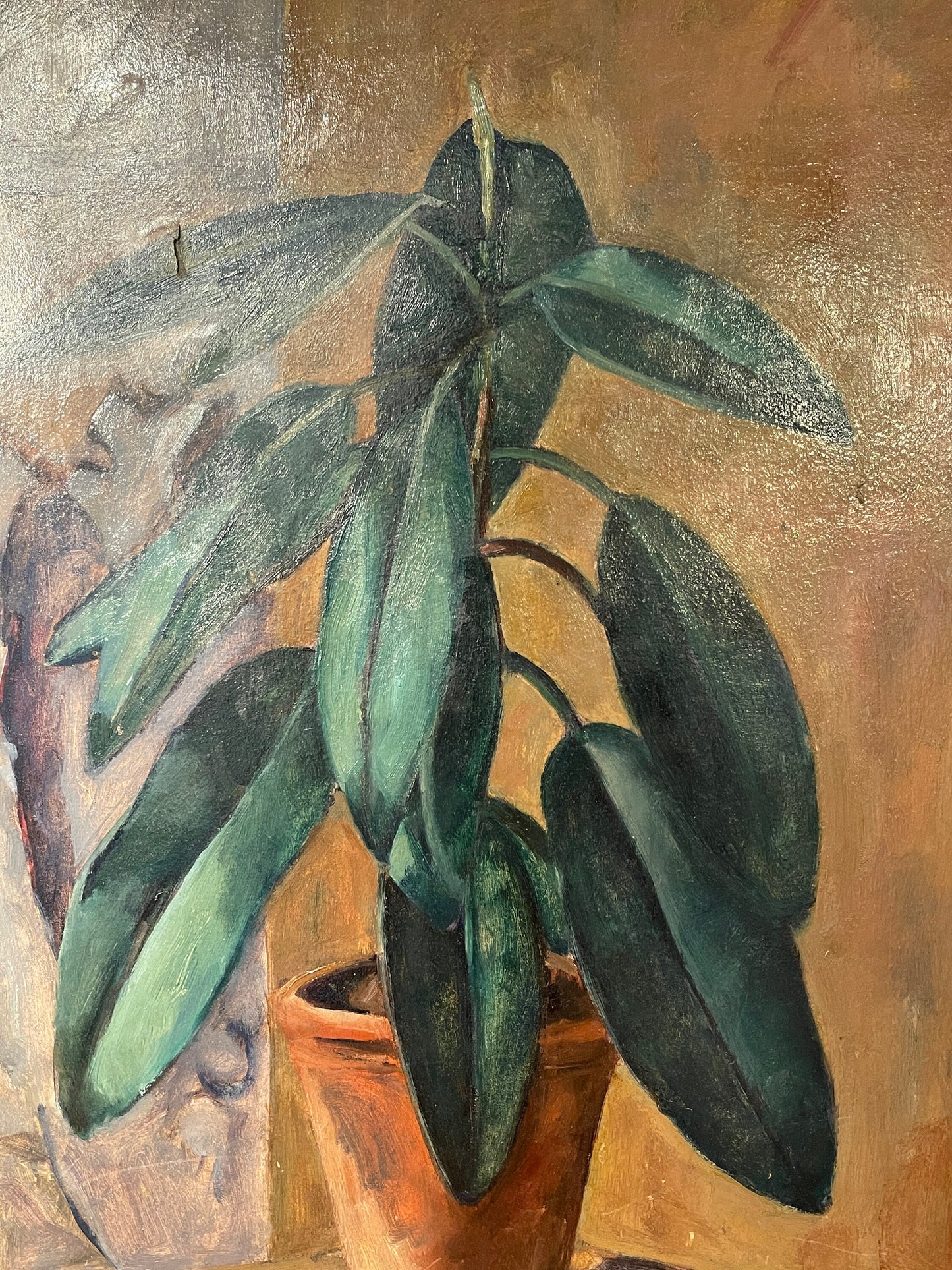 Dipinto olio su cartone, Pianta, Giulio Benzi